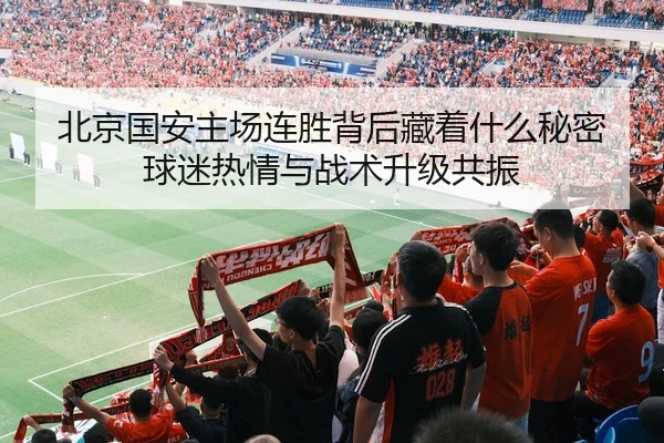 北京国安主场连胜背后藏着什么秘密 球迷热情与战术升级共振